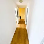 Typique Avec Carnotzet Apartment *